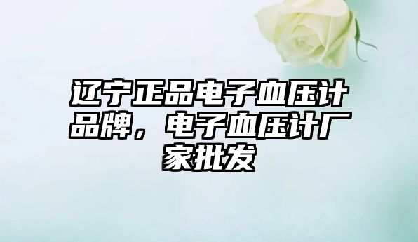 遼寧正品電子血壓計品牌，電子血壓計廠家批發